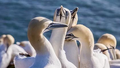 《死亡岛3》非官方发售日期疑似曝光