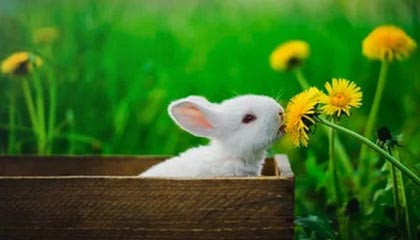 《最后生还者》主演谈尼尔·德鲁克曼退出剧组